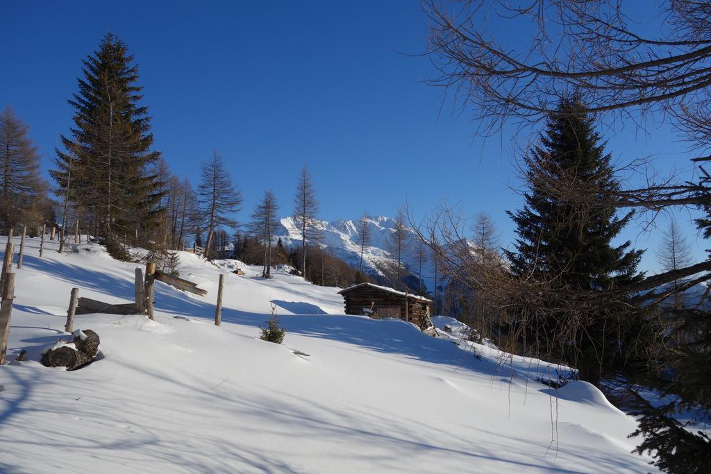 Wachtlerhof Apartment Matrei in Osttirol