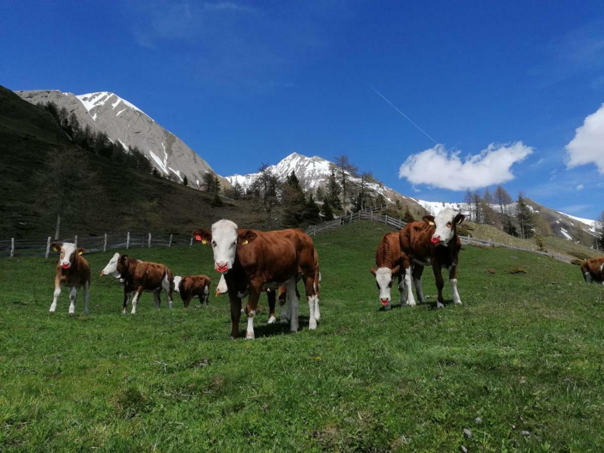 Wachtlerhof * Matrei in Osttirol